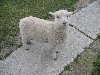 da ist wohl was schiefgegangen :-)